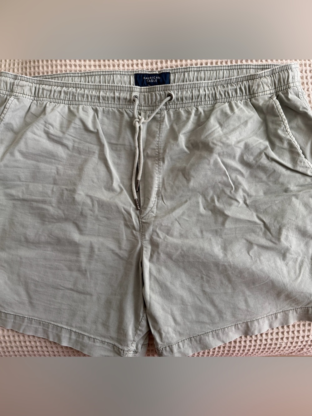 American Eagle Outfitters Men's Drawstring Sage Shorts